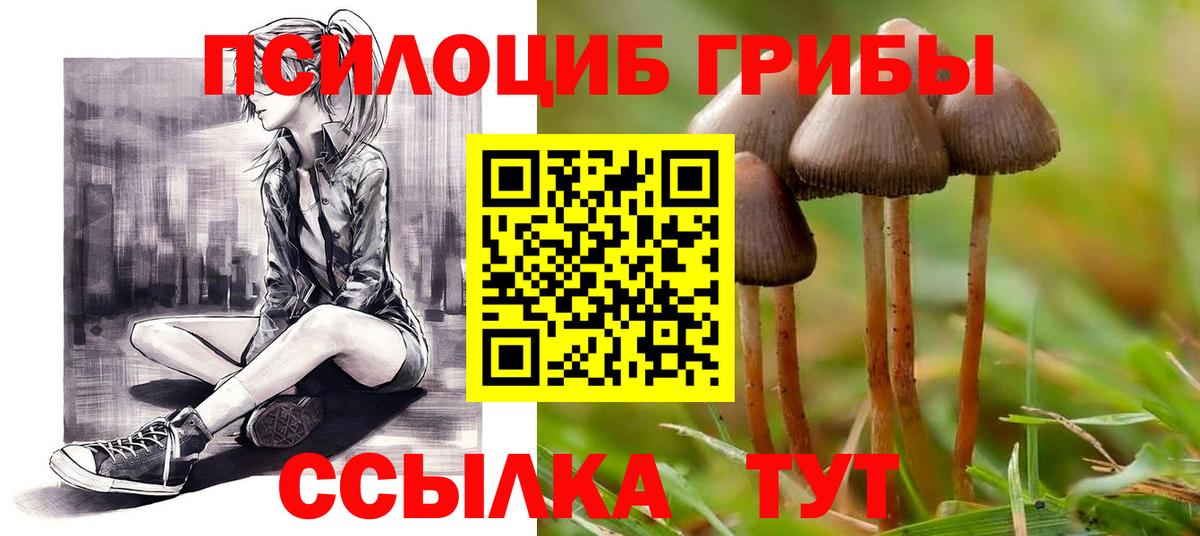 Муравленко  Псилоцибиновые грибы MAGIC MUSHROOMS  Вход с VPN 
